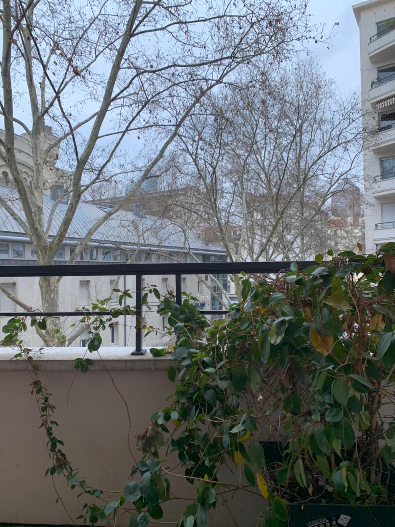 Lyon 3 Triangle D'Or公寓 外观 照片