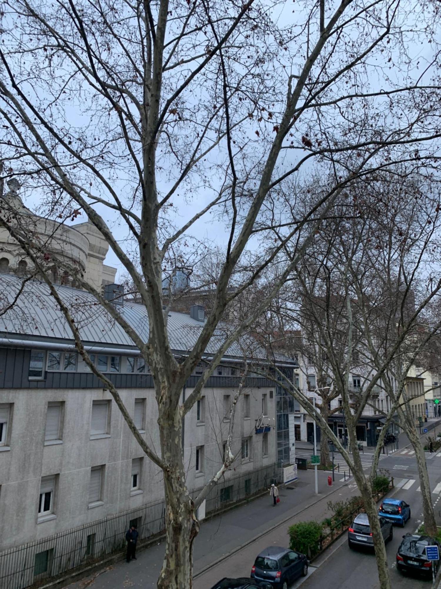 Lyon 3 Triangle D'Or公寓 外观 照片